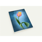 42bb8679-2781-491f-9c03-835bdabc0d1c